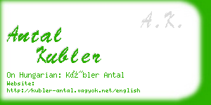 antal kubler business card